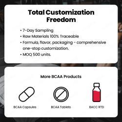 Порошок BCAA с электролитами 3:1:1 без сахара (арт. 26-1002037)