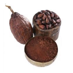 Какао-порошок горячий для взрослых без сахара (арт. 26-1002301)