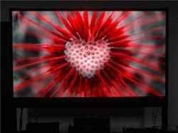 Экран LED HD P1.25 для видеостен (арт. 26-2002053)