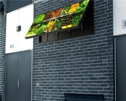 Двусторонний LED экран P5 P8 P10 для улицы (арт. 26-2002116)