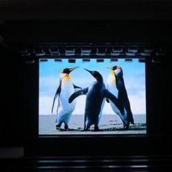 Экран LED P1.95 для выставок и конференций (арт. 26-2002229)