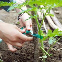 Лента для растений ПВХ зеленая для сада и виноградника (арт. 26-1902284)